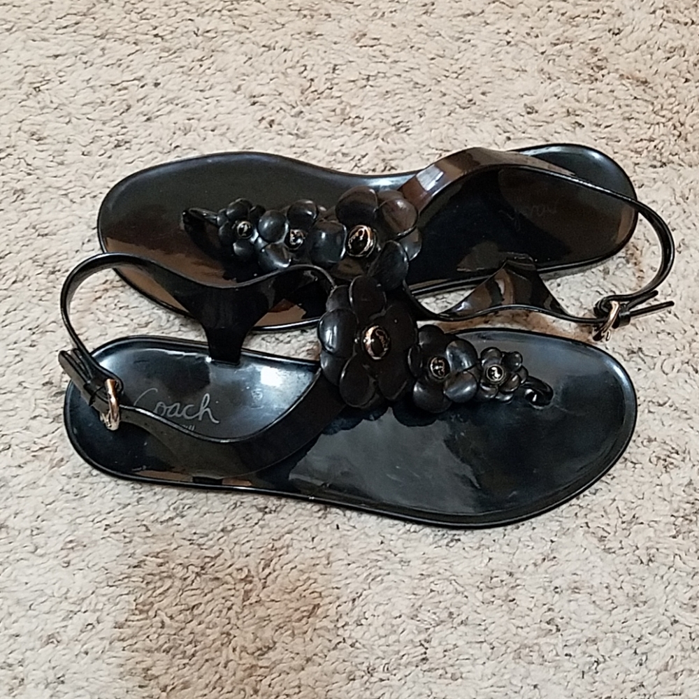 Coach Haylee Sandals